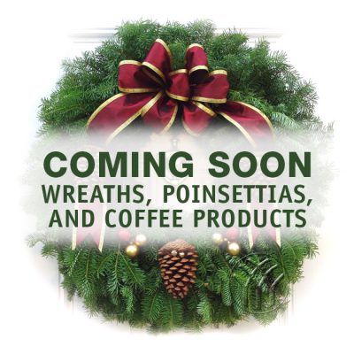 Wreaths, Poinsettias, and Coffee Fundraiser