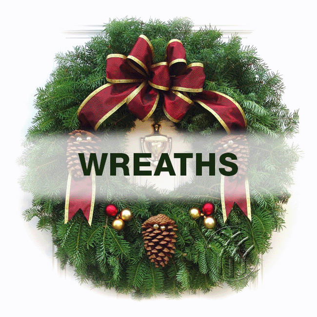 Help Get the Word Out! Our Annual Wreath, Poinsettia, Gourmet Coffee Fundraiser Closes Oct 30