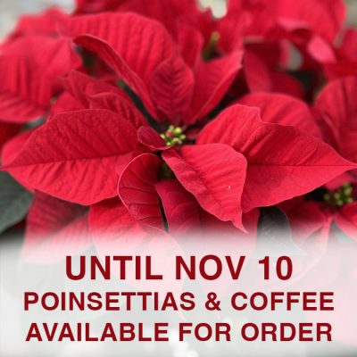 Wreaths, Poinsettias, and Coffee Fundraiser